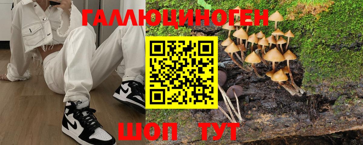 Галлюциногенные грибы прущие грибы Знаменск